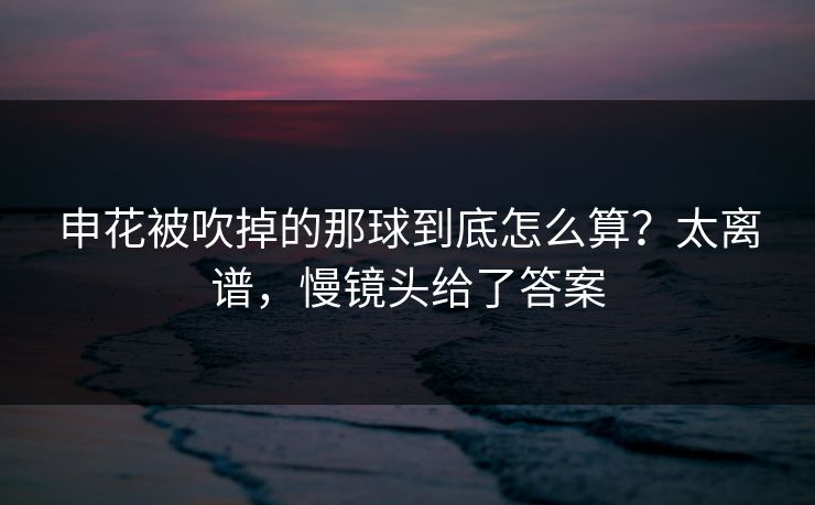 申花被吹掉的那球到底怎么算？太离谱，慢镜头给了答案