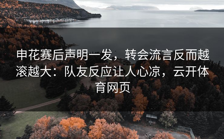 申花赛后声明一发，转会流言反而越滚越大：队友反应让人心凉，云开体育网页