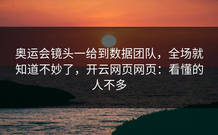 奥运会镜头一给到数据团队，全场就知道不妙了，开云网页网页：看懂的人不多
